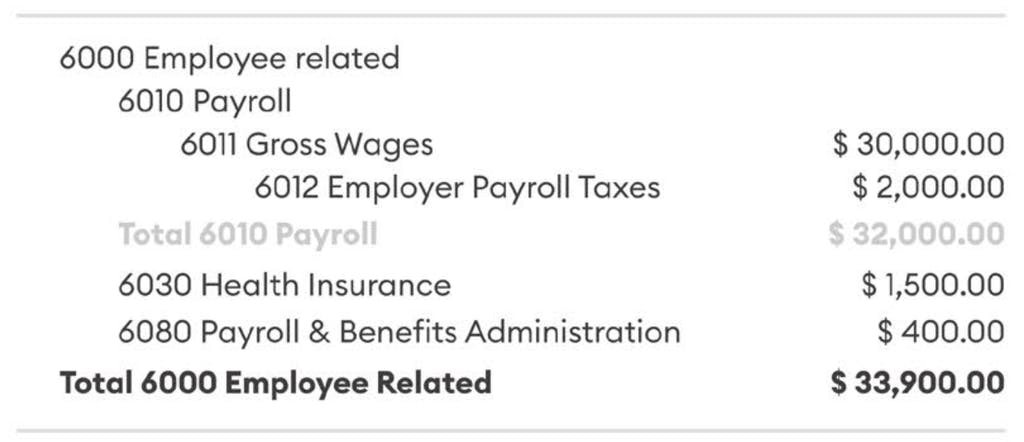 Payroll profit and loss statement